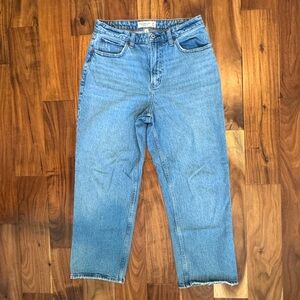 Abercrombie Vintage Straight High Rise Curve Love Jeans